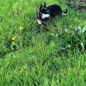 Meet your Posher, Angie